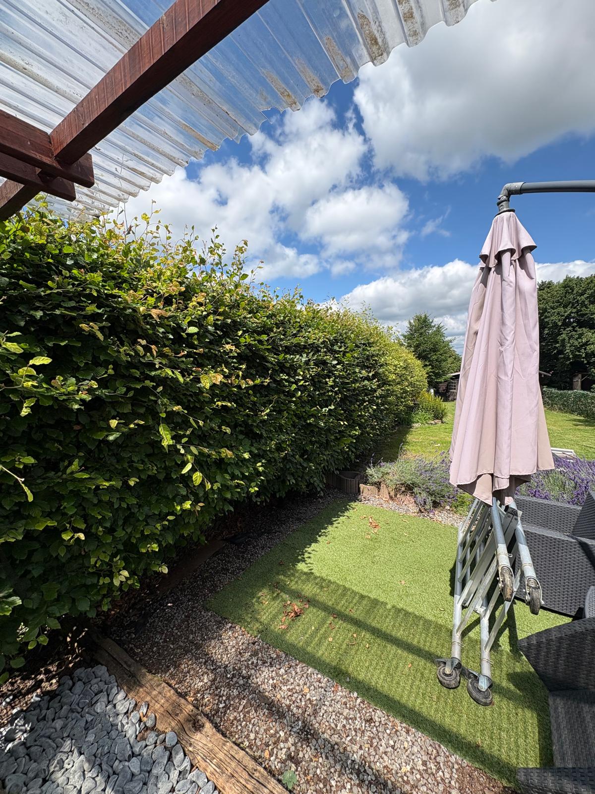 Taille de haie & jardin
